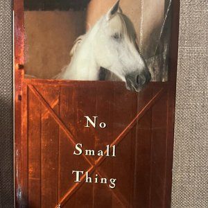 No Small Thing Pocketbook paperback
